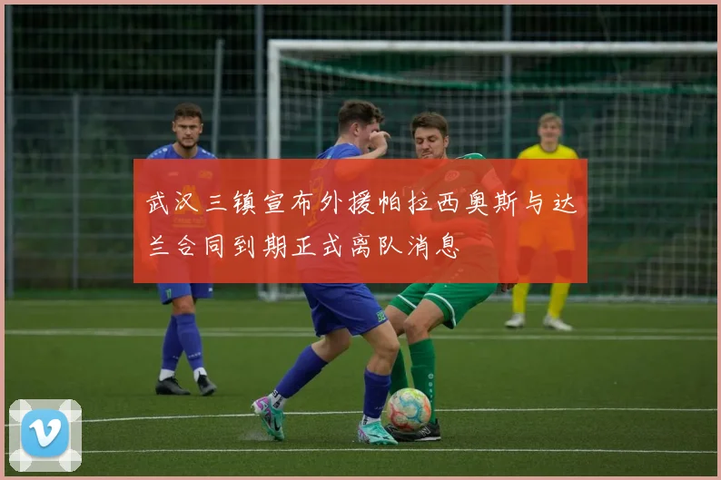 武汉三镇宣布外援帕拉西奥斯与达兰合同到期正式离队消息